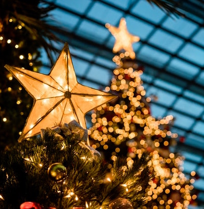 Palabras de Francisco para felicitar la Navidad